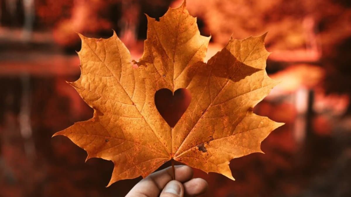 Benvenuto Autunno: con l'equinozio di settembre salutiamo la bella stagione