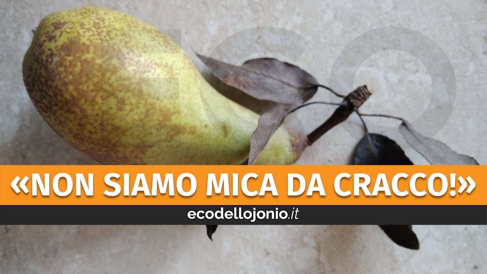 Mensa scolastica, a Corigliano-Rossano scoppia la polemica sulla genuinità dei prodotti