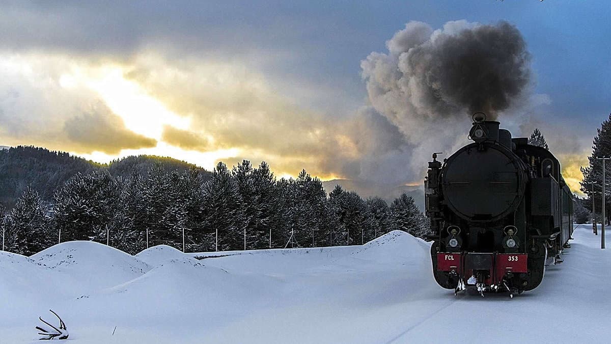 Torna a sbuffare sui binari il "Treno della Sila" per un'esperienza di viaggio unica
