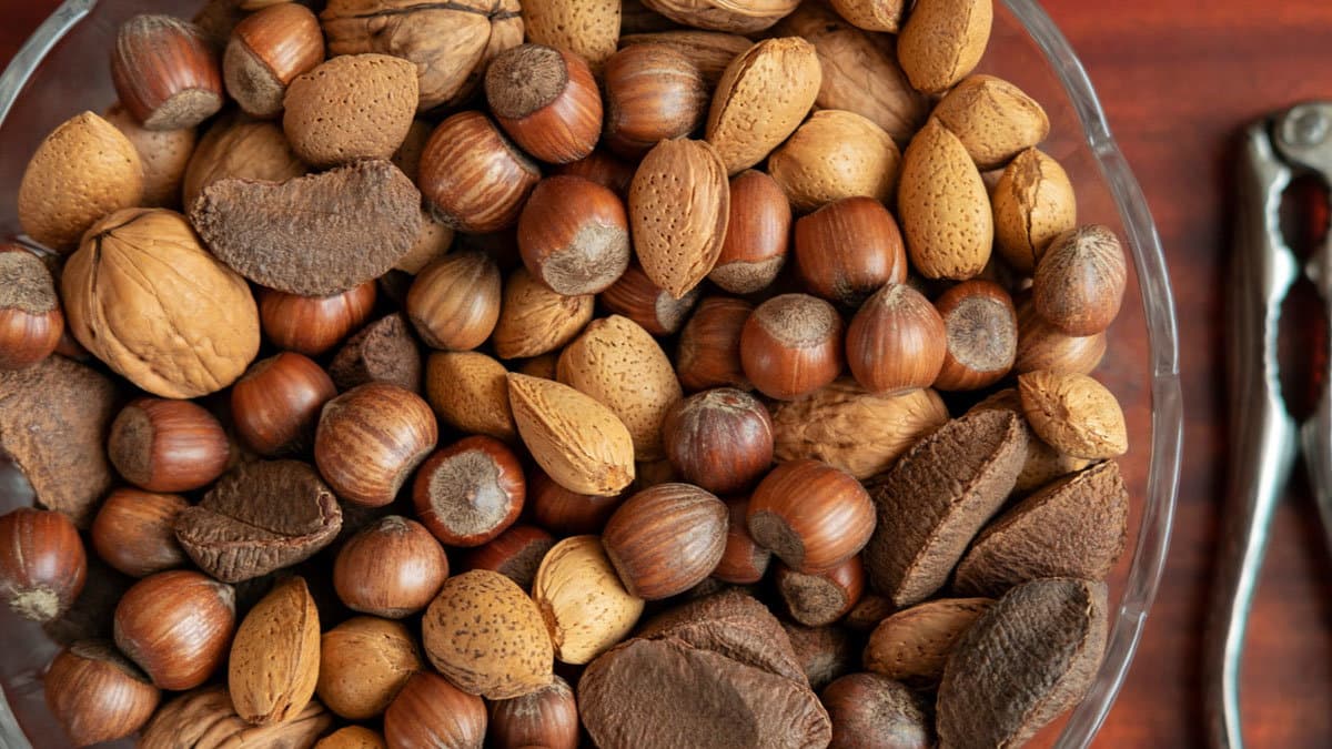 Nocciole, mandorle e noci: la frutta a guscio prende sempre più piede in Calabria