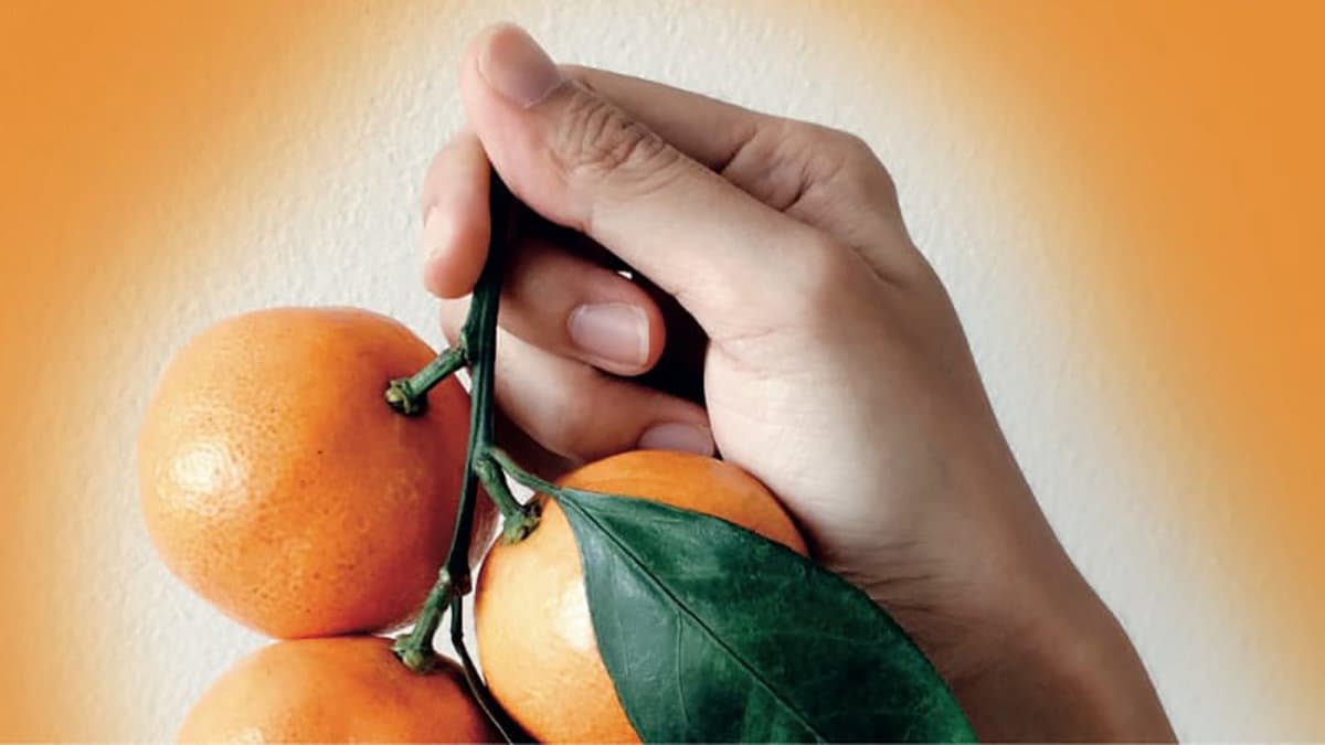 Tornano le "clementine antiviolenza", l'agrume simbolo della lotta contro la violenza di genere