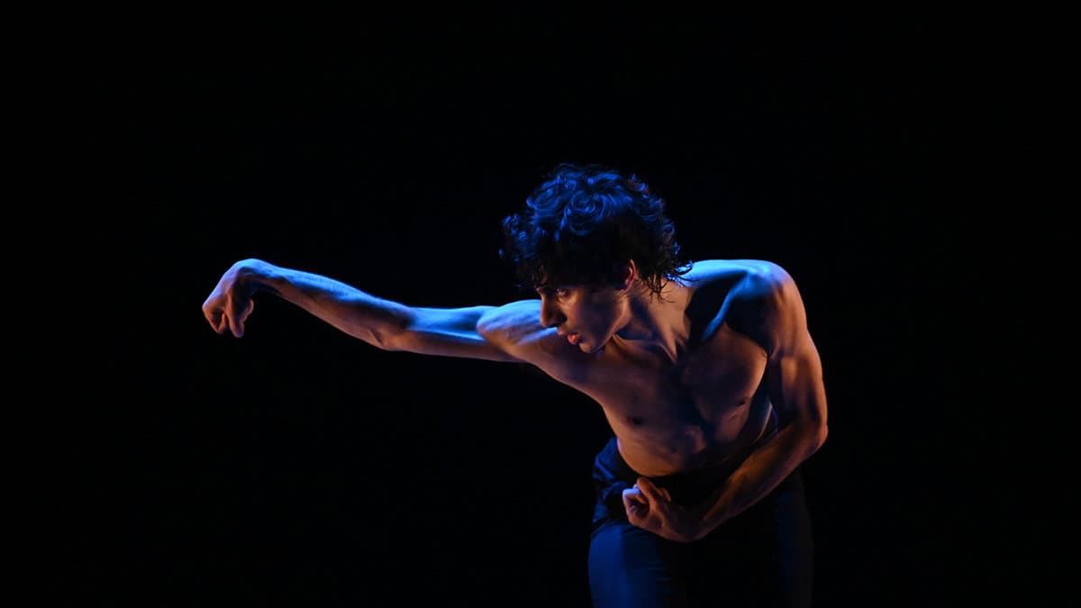 Ramificazioni Festival, continuano gli appuntamenti della danza d'autore