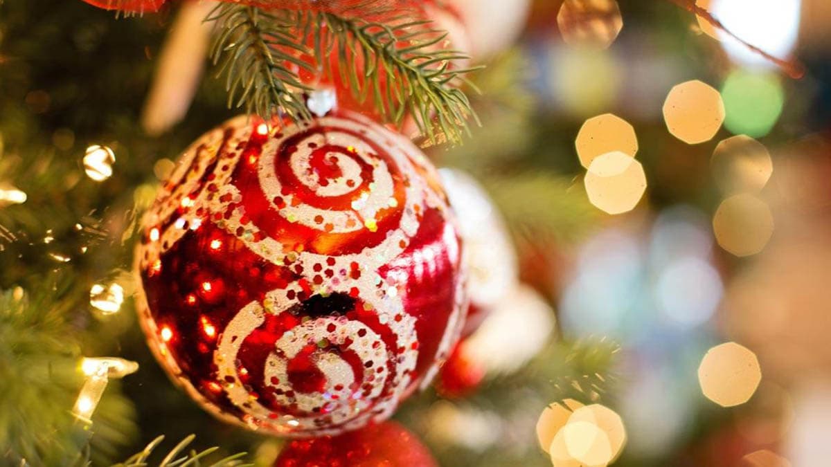 Tanti gli eventi a Mormanno durante le feste natalizie: ecco le principali attività