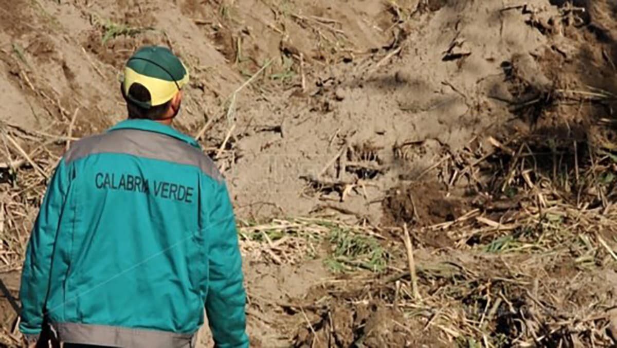 Per la Cisl Calabria le risorse stanziate dal Governo per la forestazione calabrese sono insufficienti
