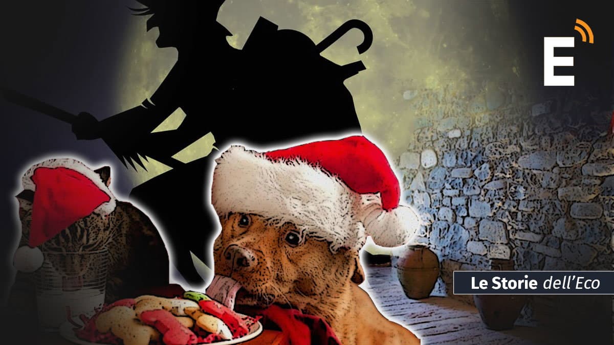 I muri di ricotta e gli animali che parlano: storie e leggende di una notte magica