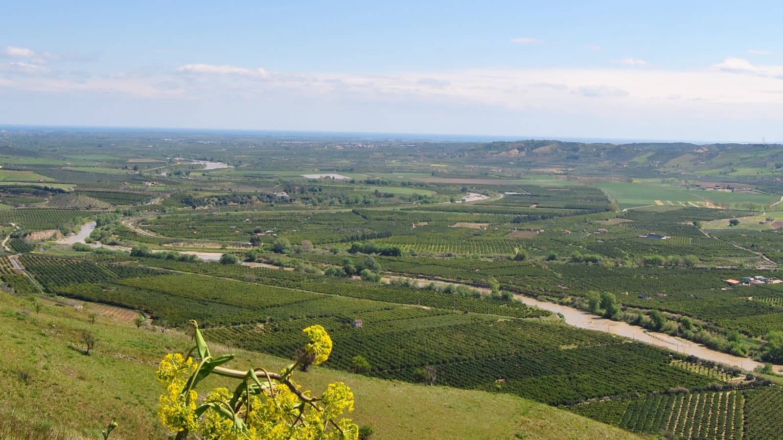 Parte il progetto "Distretto del cibo Piana di Sibari", riunione organizzativa a Co-Ro