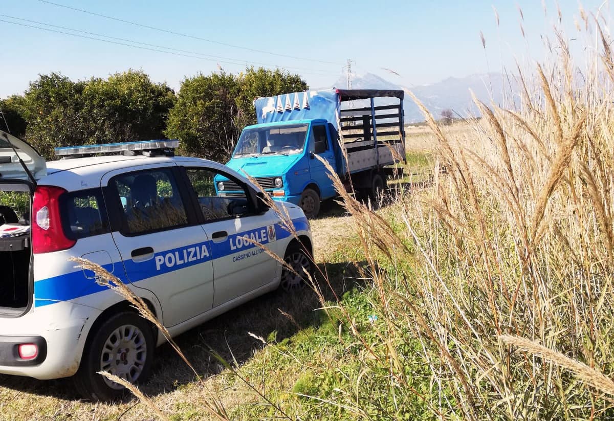 Cassano, rubano quintali di arance: la Polizia Locale scopre e blocca l’azione illegale