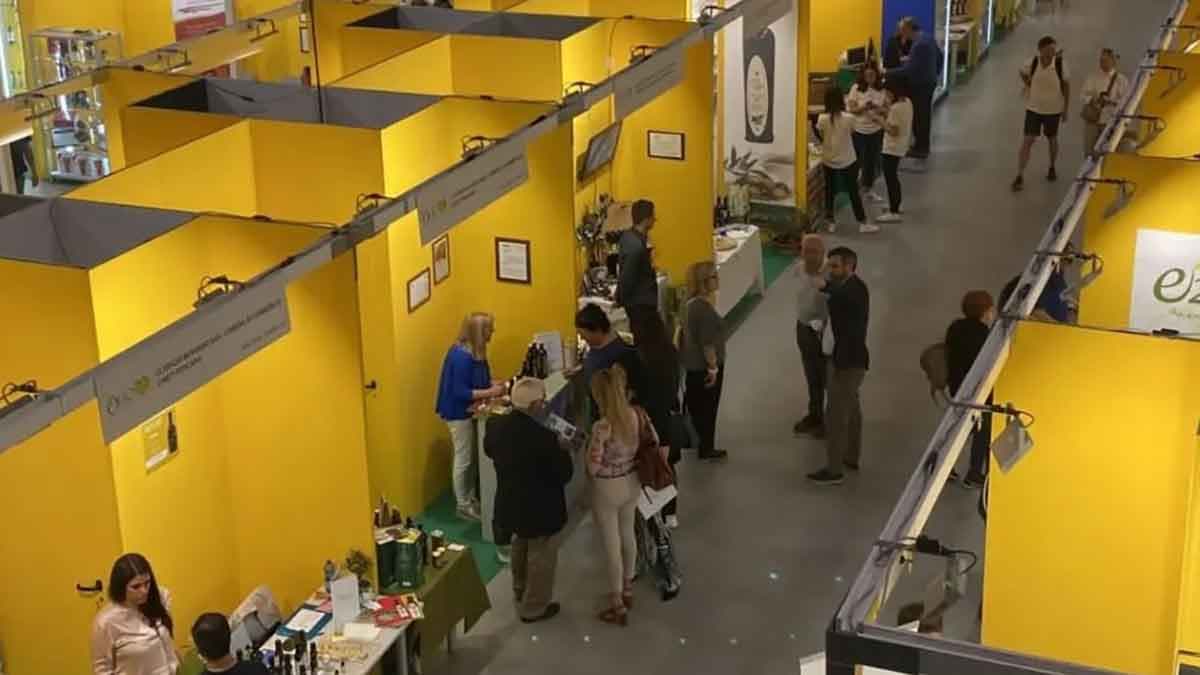 L’oro verde della Calabria vola a Trieste: parteciperà a “Olio Capitale”