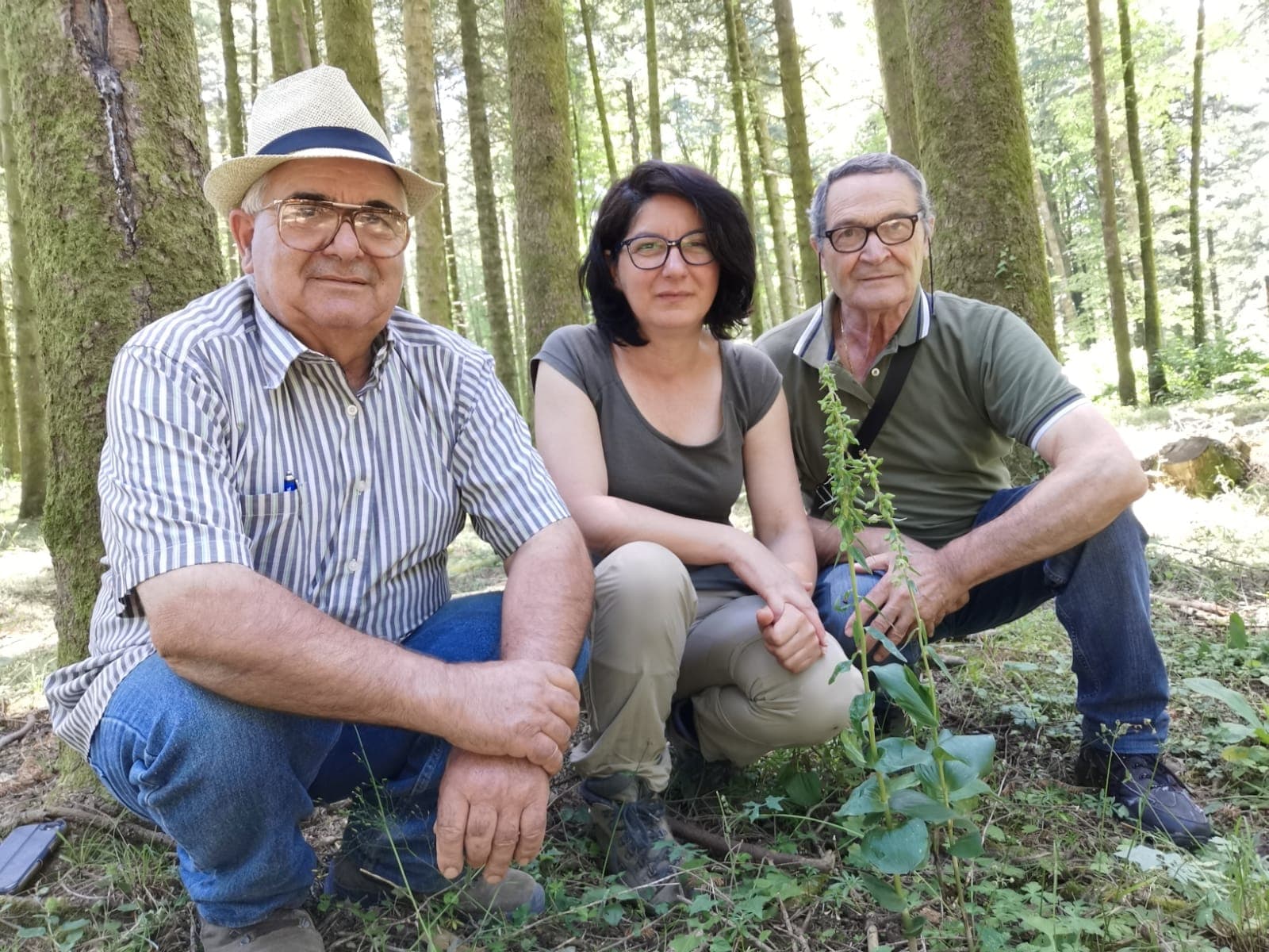La Calabria capitale delle orchidee dal 27 al 30 aprile