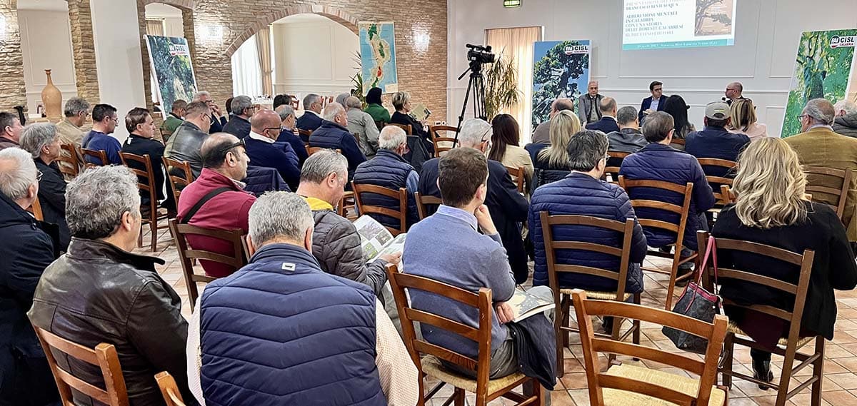 Ambiente, foreste e lavoro protagonisti del libro “Alberi monumentali in Calabria” di Francesco Bevilacqua