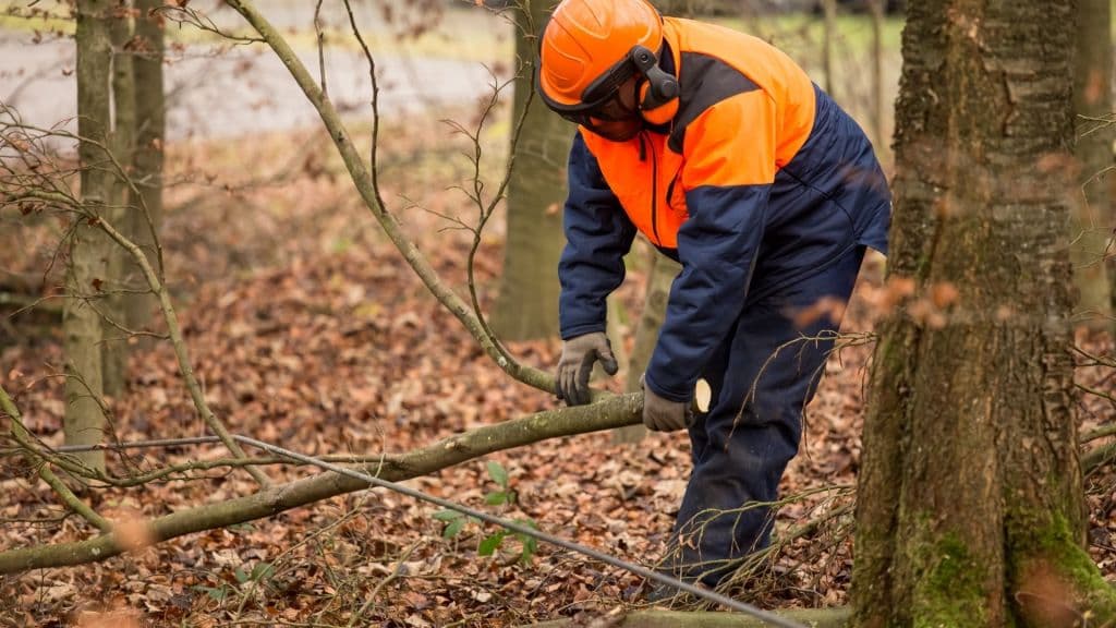 Fai Flai e Uila si preparano per la mobilitazione regionale dei lavoratori del settore forestale