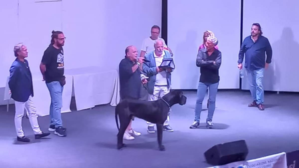 A Cariati l’inclusione è protagonista nel progetto Anpis "SottoSopra"