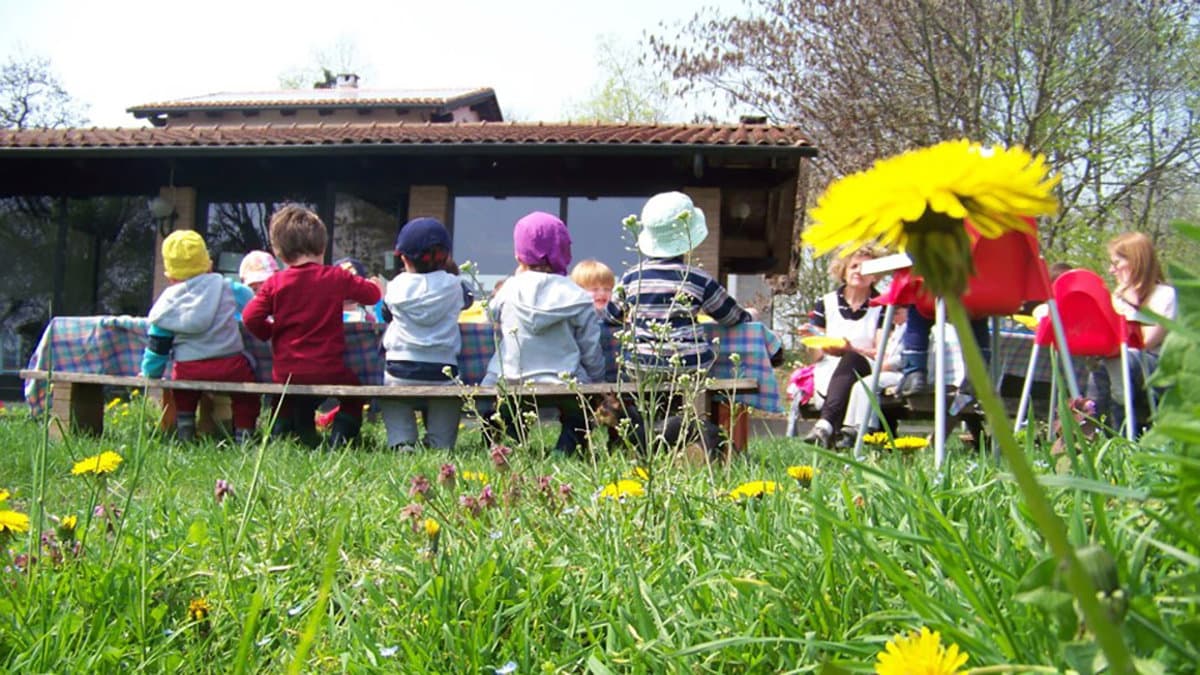 Istituire in Calabria gli Agrinido e Agriasilo, una delle proposte di legge a costo zero di Tavernise (M5s)