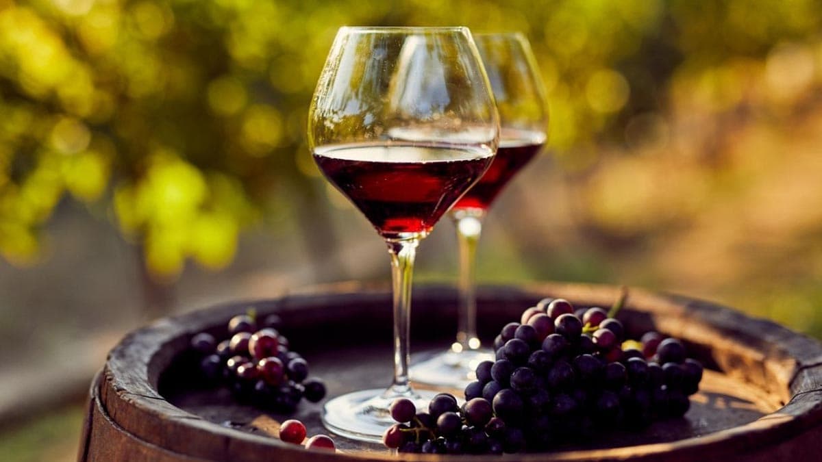 Vini arbëreshë, edizione da record: da Calabria e Basilicata 200 concorrenti