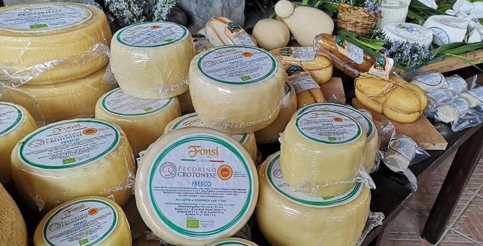 Il gelato è il nuovo orizzonte per il pecorino crotonese