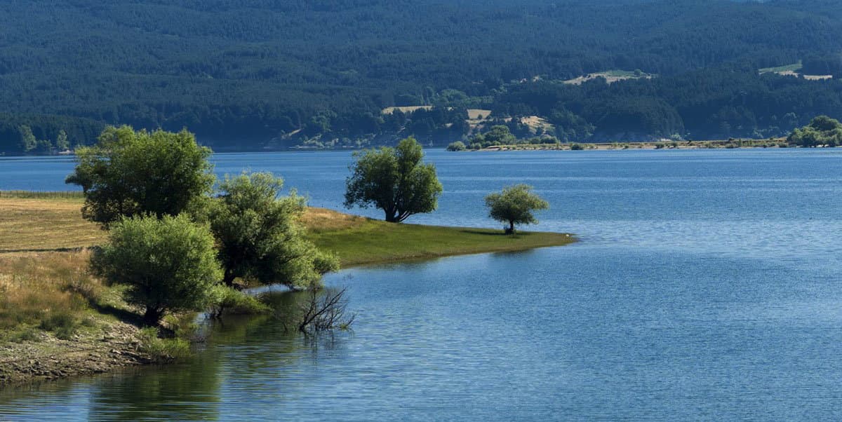 Riflessioni ad alta quota: appuntamento a Camigliatello Silano per la "Gionata della Montagna". Ecco quando