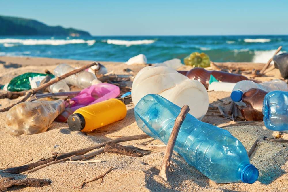 Cariati, "Zia Nennè"e "Le Lampare" unite per la raccolta dei coperchi di plastica sulle spiagge
