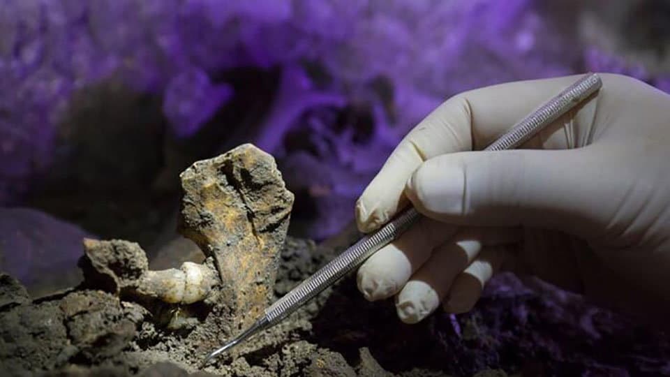 A San Lorenzo Bellizzi un evento per raccontare le straordinarie scoperte archeologiche legate al Dna Antico