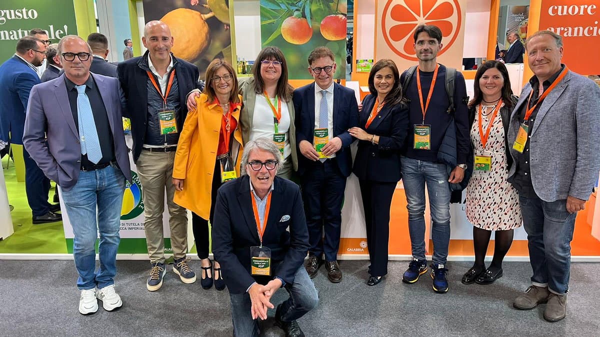 Il Consorzio Clementine Igp attento alle esigenze di mercato: approvato il nuovo disciplinare di produzione