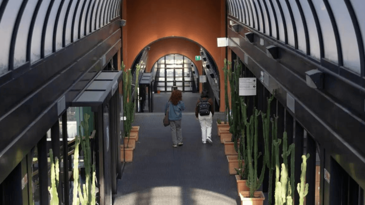 Il sistema bibliotecario Unical ospita la mostra  “ViviAMO la Calabria: dalla conoscenza all’esperienza”