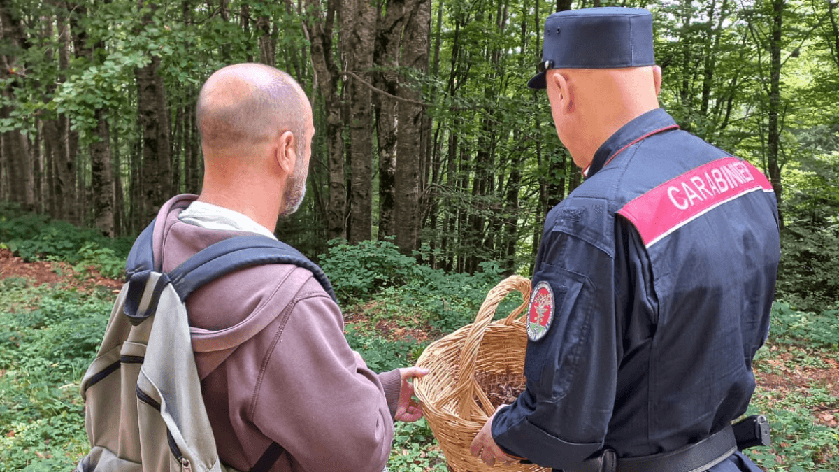 Controllati oltre cinquanta soggetti intenti alla raccolta di funghi: decine le sanzioni