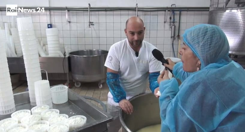 Le telecamere di RaiNews24 alla ricerca dei sapori del Pecorino crotonese DOP