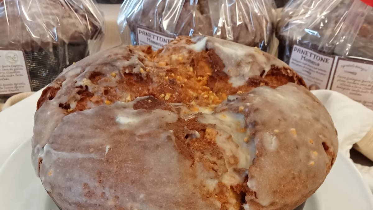 Al Majorana hanno preparato anche il panettone: si chiama Momena, in perfetto stile identitario