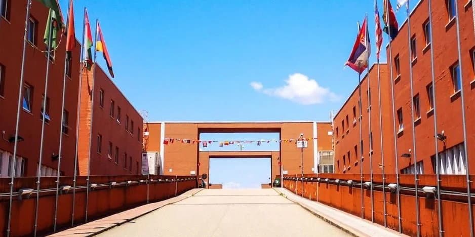 Unical: Sfiduciato il Presidente del Consiglio degli Studenti Gregorio Collia