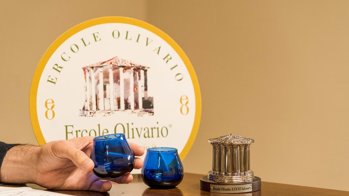 Sei aziende della Calabria ammesse alla finale del "Premio Nazionale Ercole Olivario 2024"