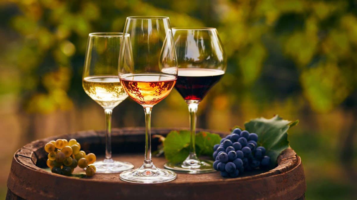 22° Concorso di Città del Vino: 3° posto per il Moscato passito al Governo di Saracena di Feudo San Severino