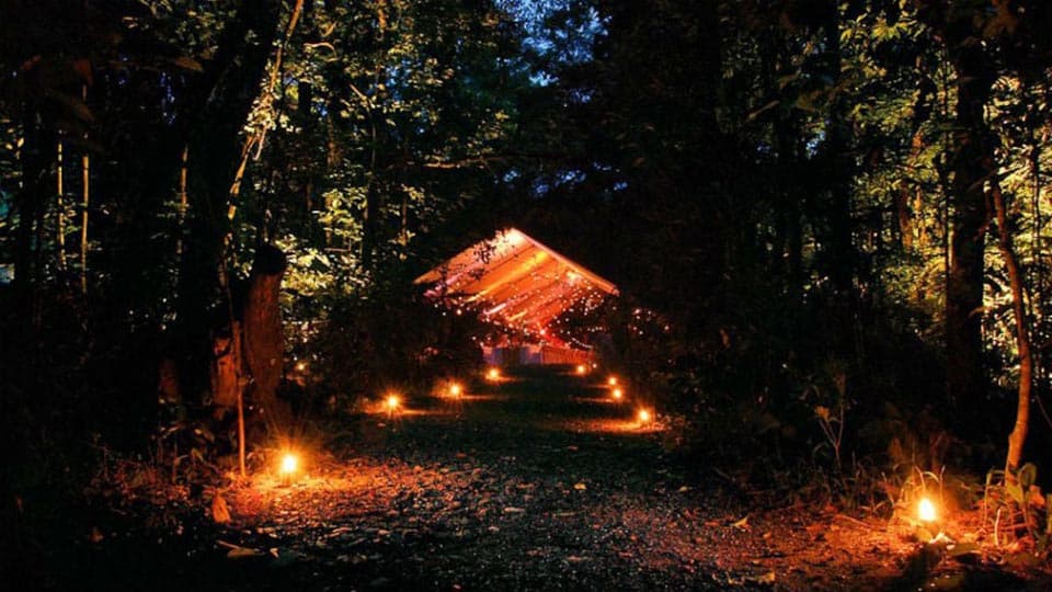 A Co-Ro torna l'imperdibile appuntamento con "Bosco in Musica - X edizione"