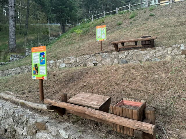 Nel Parco Nazionale della Sila percorso di lettura con i racconti di Piumetta Pettirosso Coraggioso