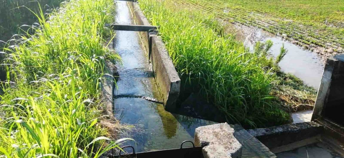 Il Consorzio di Bonifica torna a pompare acqua nei campi. Pericolo siccità scongiurato