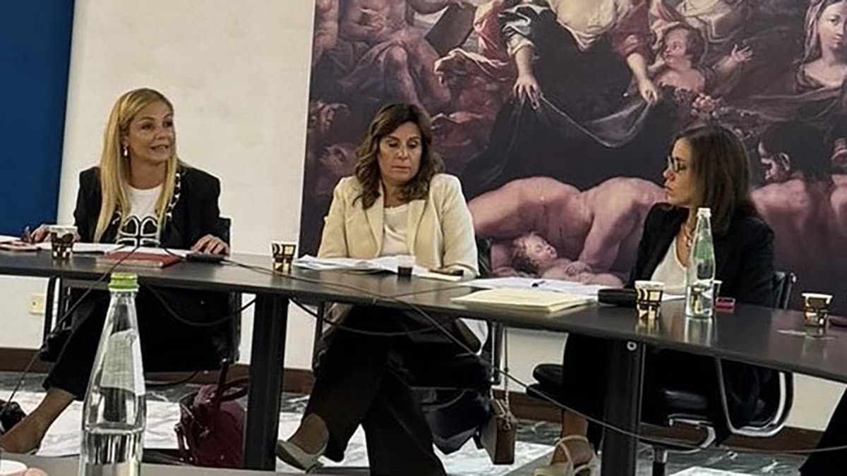 Politiche Sociali e Servizio Civile, Capponi: «Necessaria una strategia condivisa»
