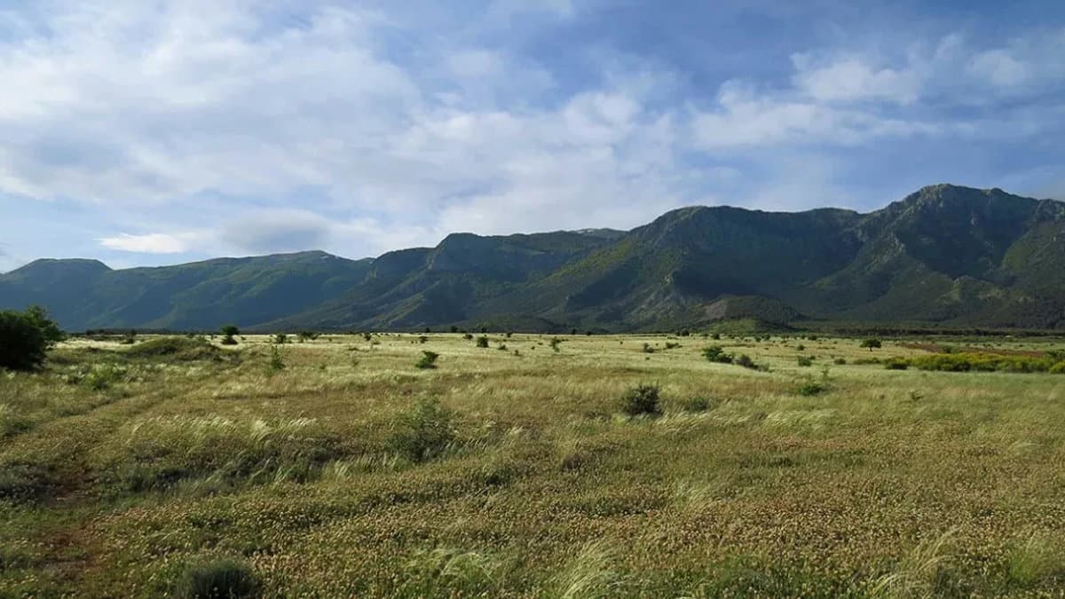 Crescono le voci a sostegno della Riserva Naturale di Castrovillari