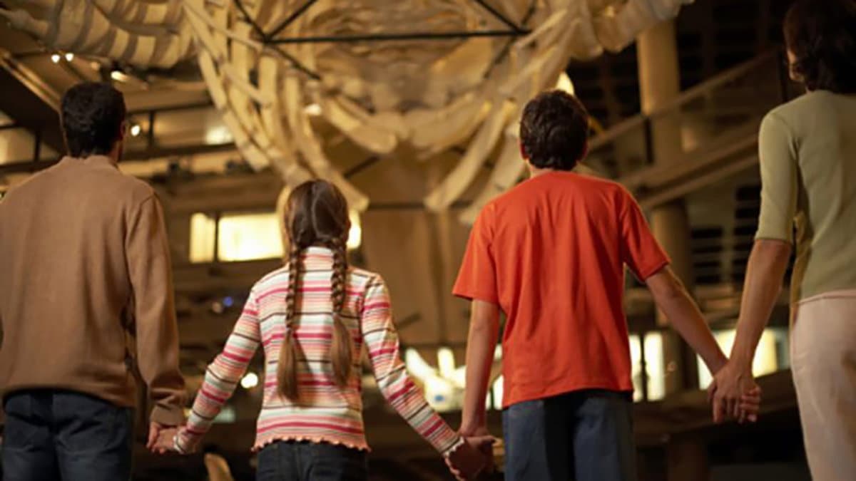 Tutto pronto per l'evento Famiglie al Museo con "Giacomino e l'archeologia di Castiglione di Paludi"