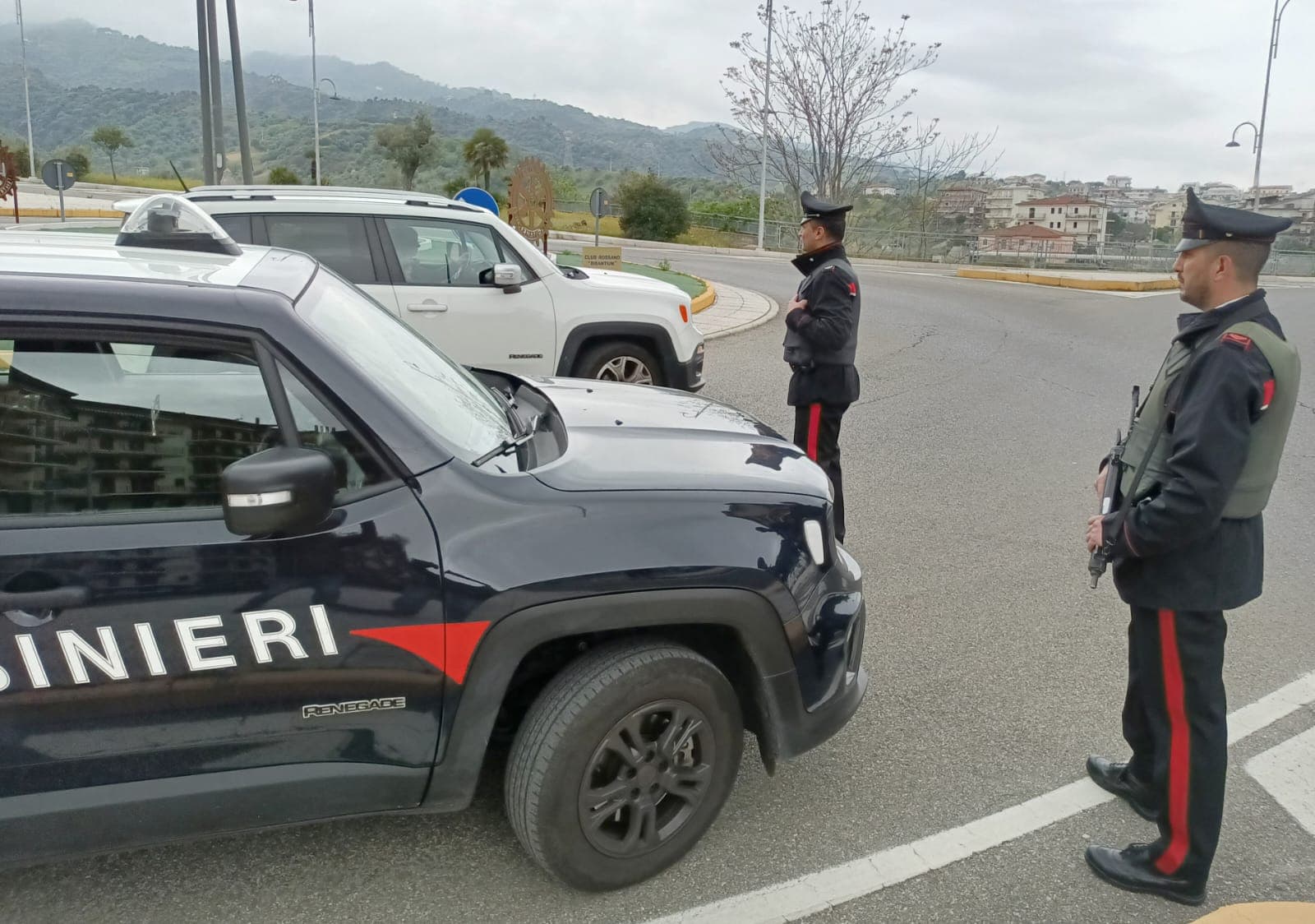 Imprenditori agricoli sotto attacco: nuovo atto intimidatorio distruttivo