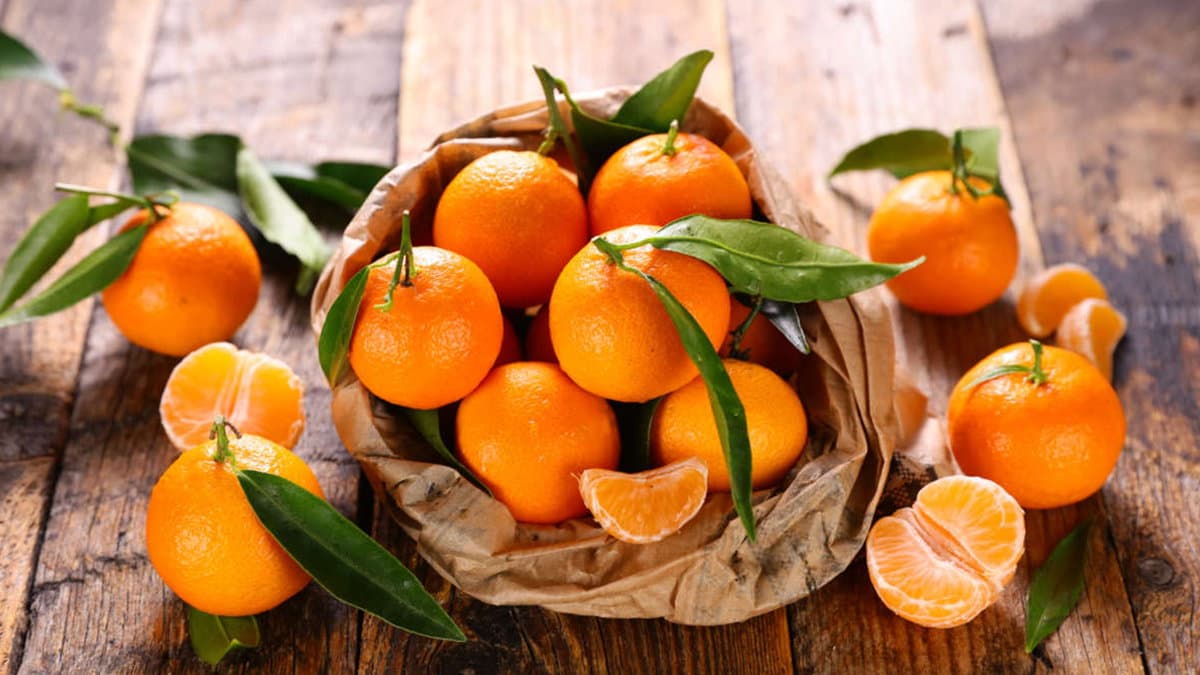 A Co-Ro tutto pronto per la prima edizione della "Festa delle Clementine"