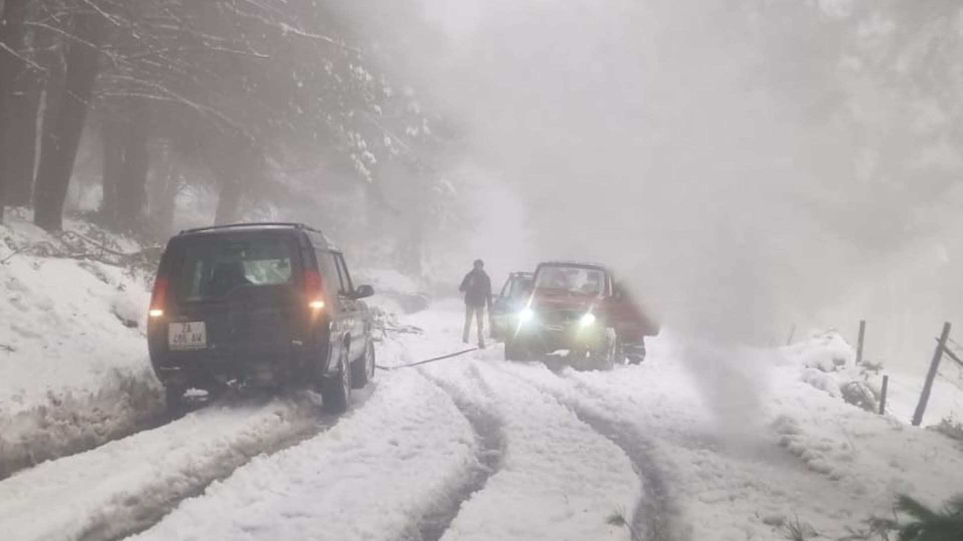 Ancora disagi a causa delle neve: gli alberi caduti bloccano la SP 188