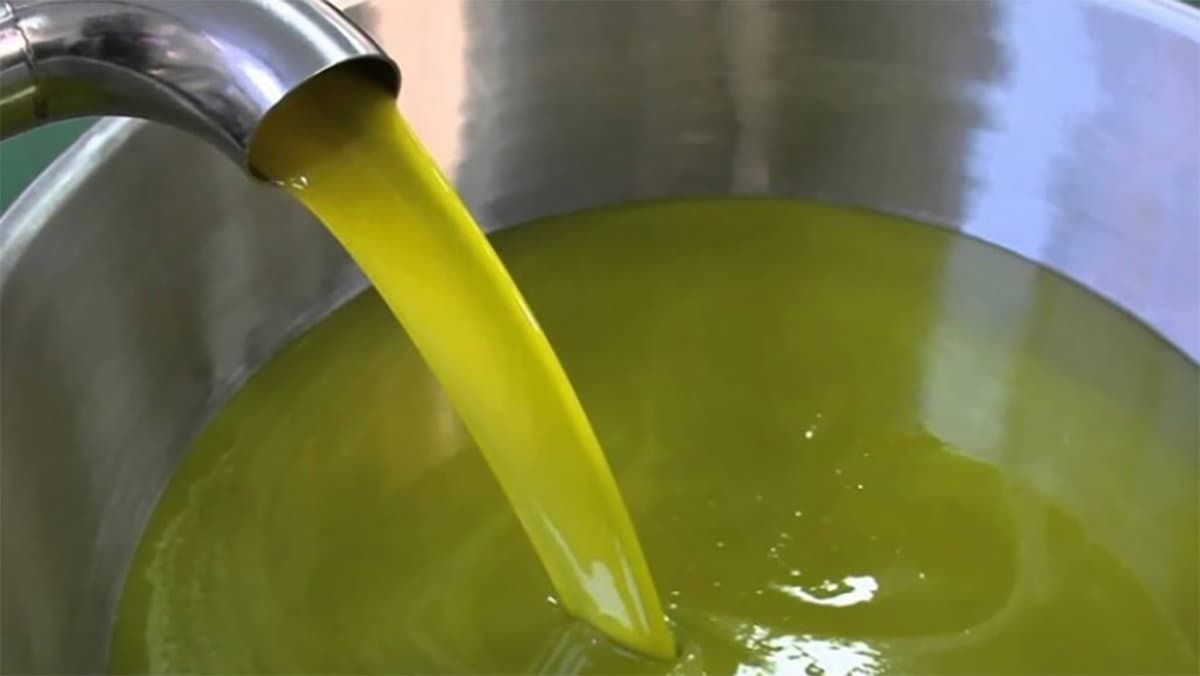 «"L'invasione tunisina" minaccia l'olio calabrese»