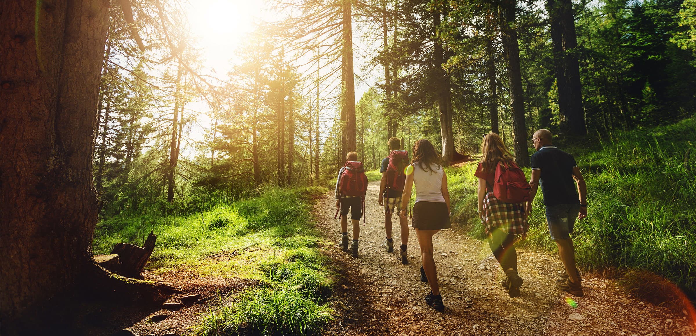 Ecoschools: domani 21 marzo al Metropol la presentazione del progetto