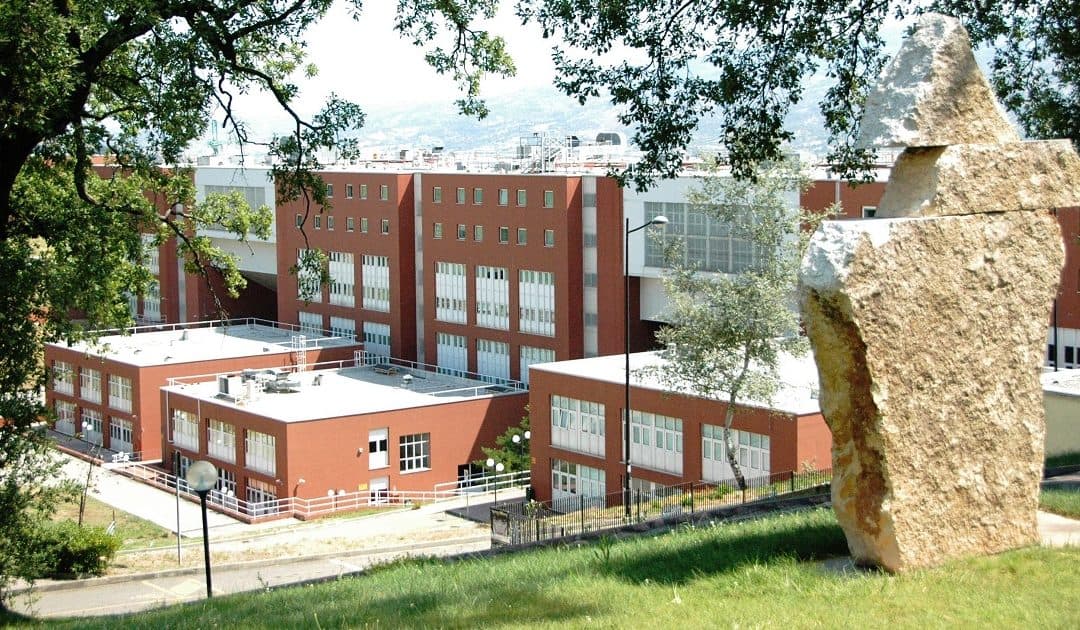 All'Unical Borse di Studio al 100% degli Idonei per il sesto anno consecutivo