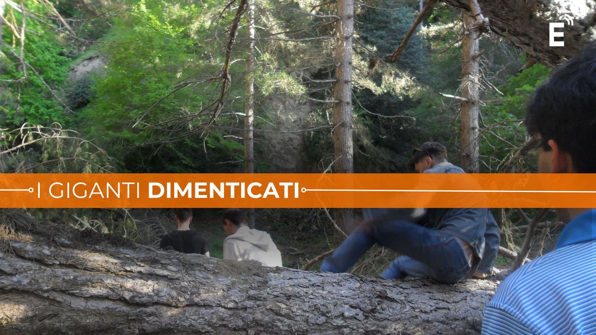 I Giganti di Cozzo del Pesco in stato di abbandono: la denuncia dei ragazzi di Rossano Purpurea