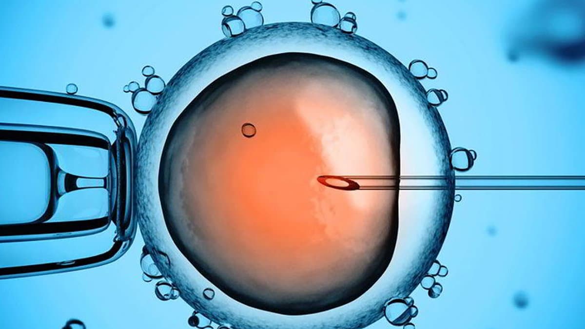 Mancano medici, sparito il centro di procreazione assistita al Compagna