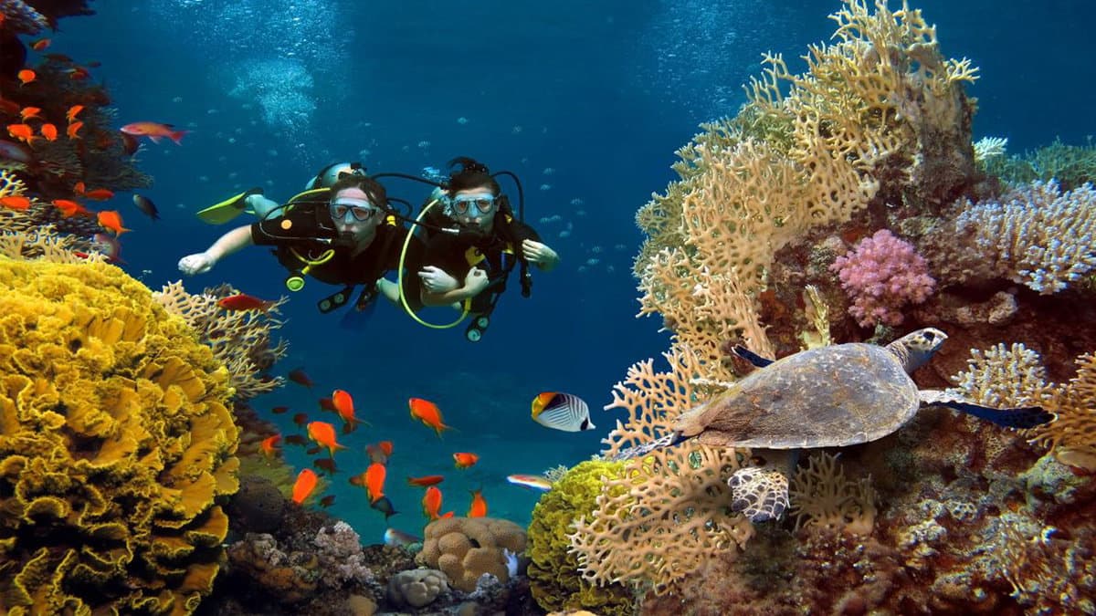 Nasce "BlueCulTour", per valorizzare il turismo culturale subacqueo