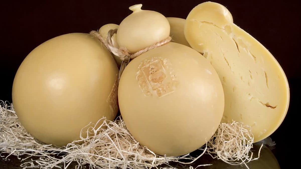 Camigliatello, il Caciocavallo Silano DOP protagonista dell'evento "Musica e Formaggi"