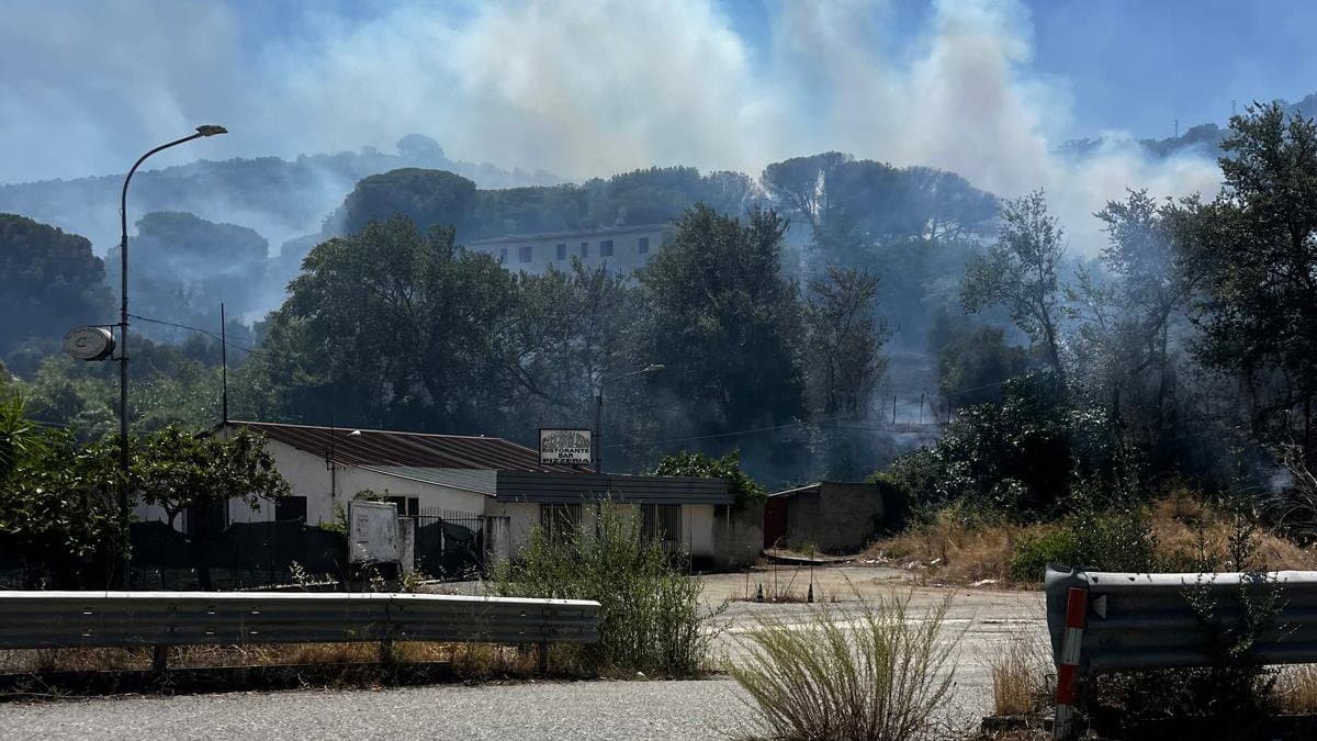 Ancora un incendio nel parco delle Terme (abbandonate) di Spezzano Albanese