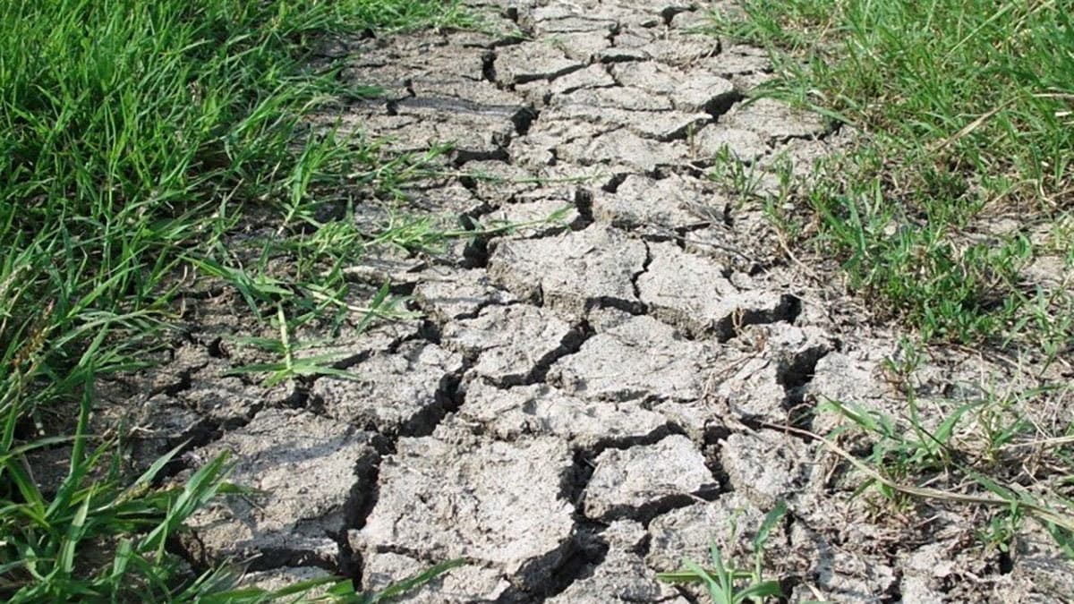 Piana di Sibari, interrotta la fornitura d’acqua a decine di piccole aziende agricole