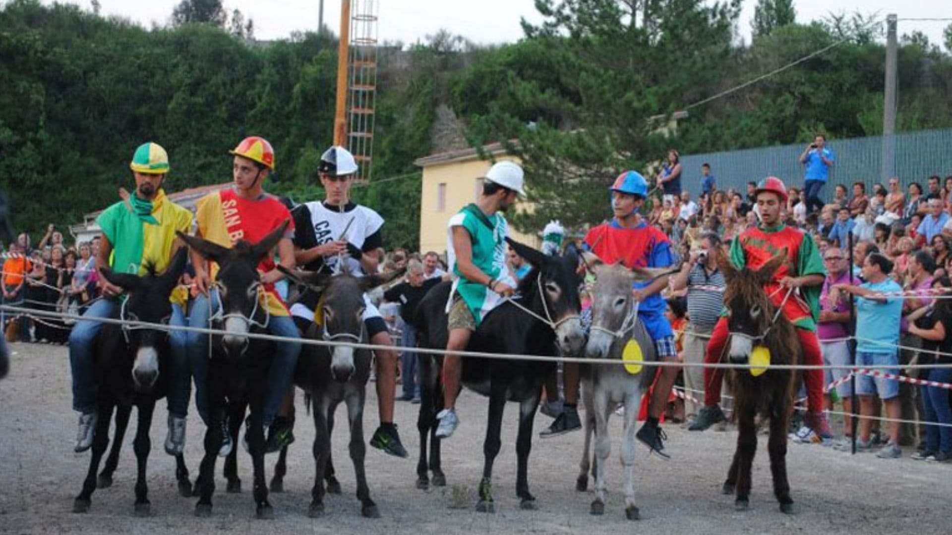 Laino Borgo, inizia la tre giorni del "Palio cu i ciucci"