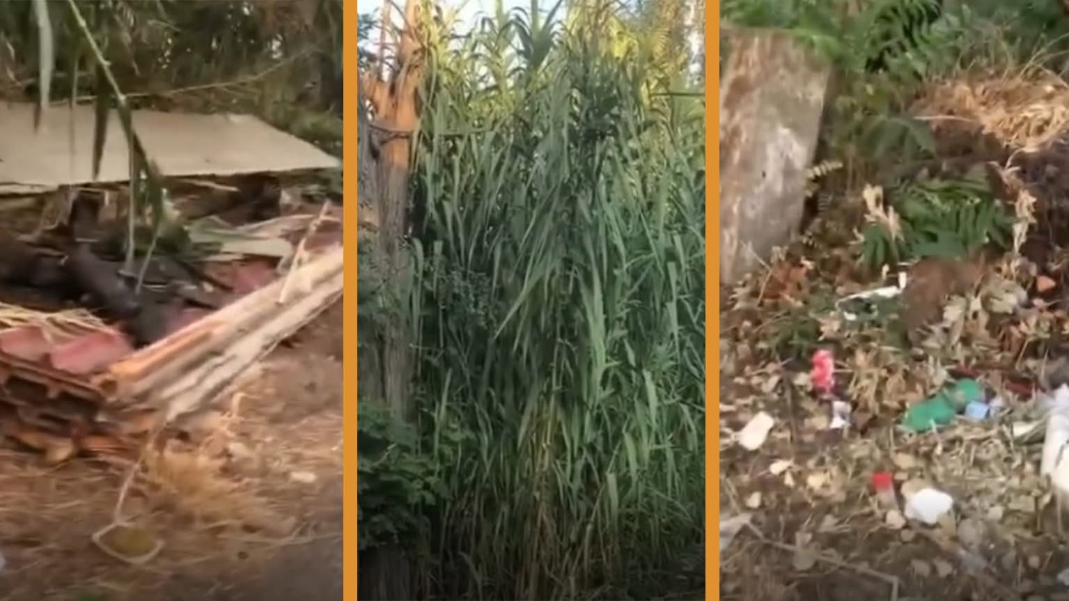 «Via Cuba sommersa dai rifiuti»: cresce l'allarme in città